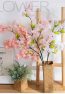 pink blossom