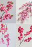 pink flower